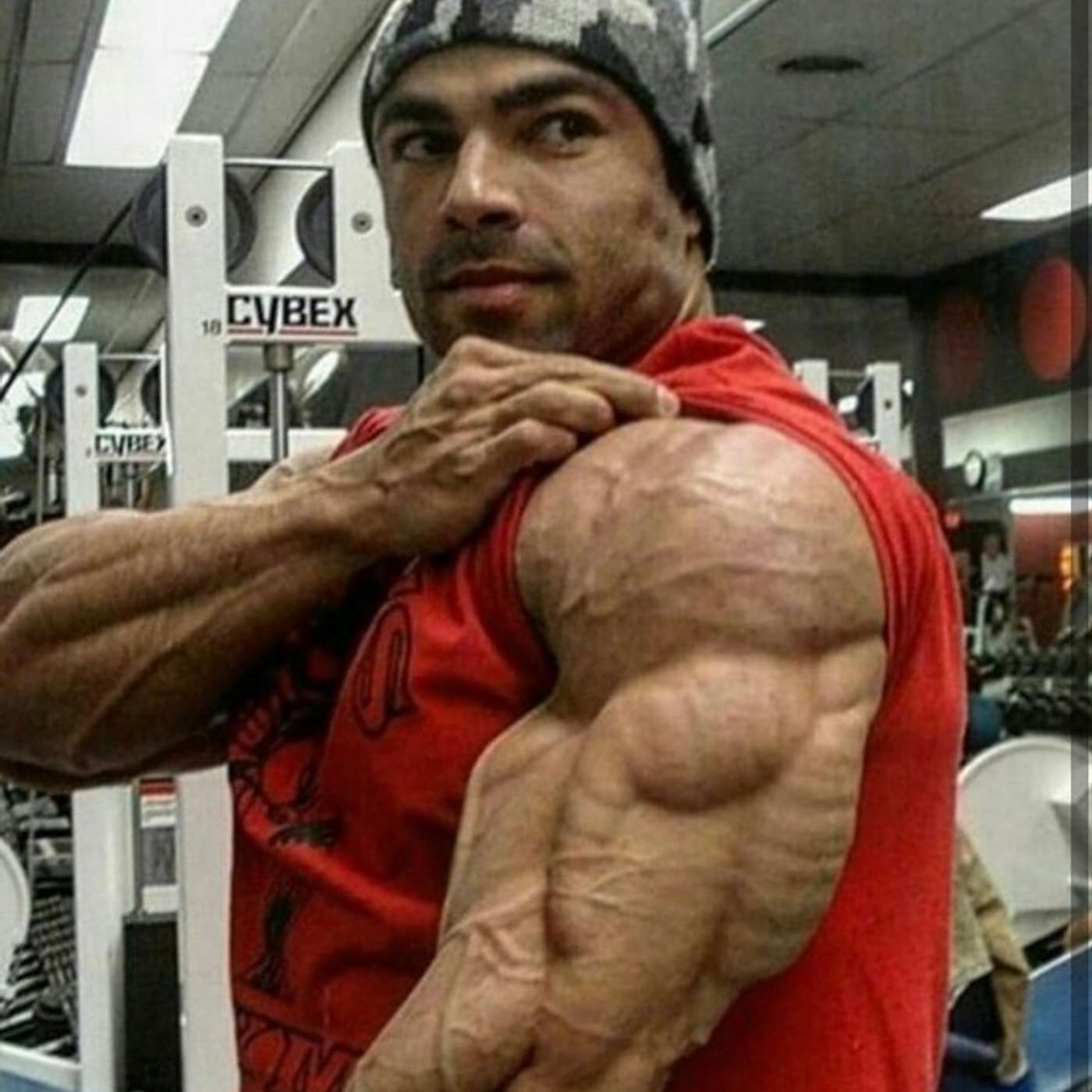 11th Edition of ANABOLIC ACADEMY: BEST Ways to Build TRICEPS episode artwork