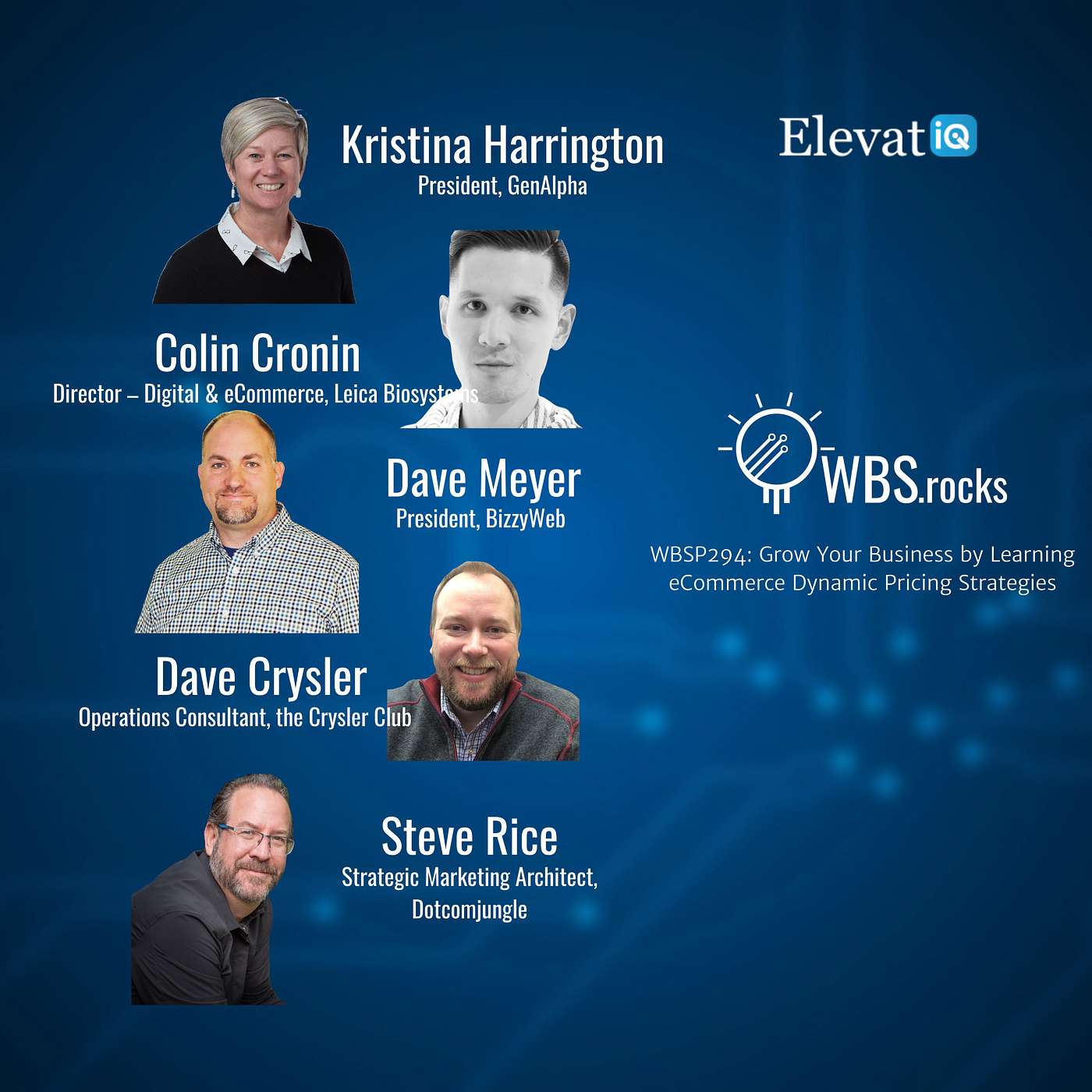 WBSP294: Grow Your Business by Learning eCommerce Dynamic Pricing Strategies, a Live Interview w/ a Panel of Experts