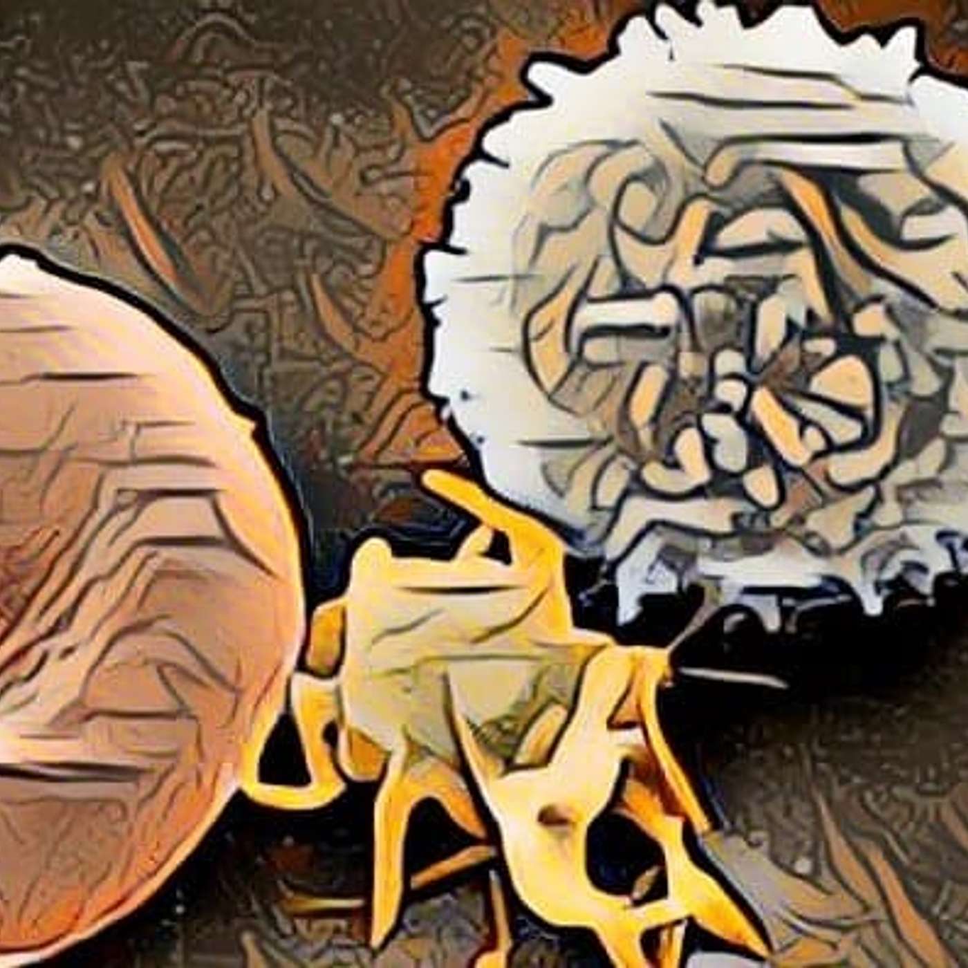 Immune Systems Basics:  If you don't know what you have, how can you take care of it? A quick overview of your body's innate defenses episode artwork