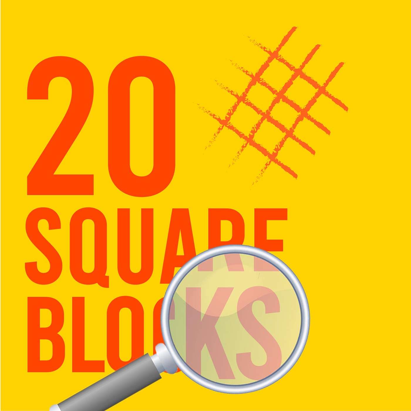 20 Square Blocks
