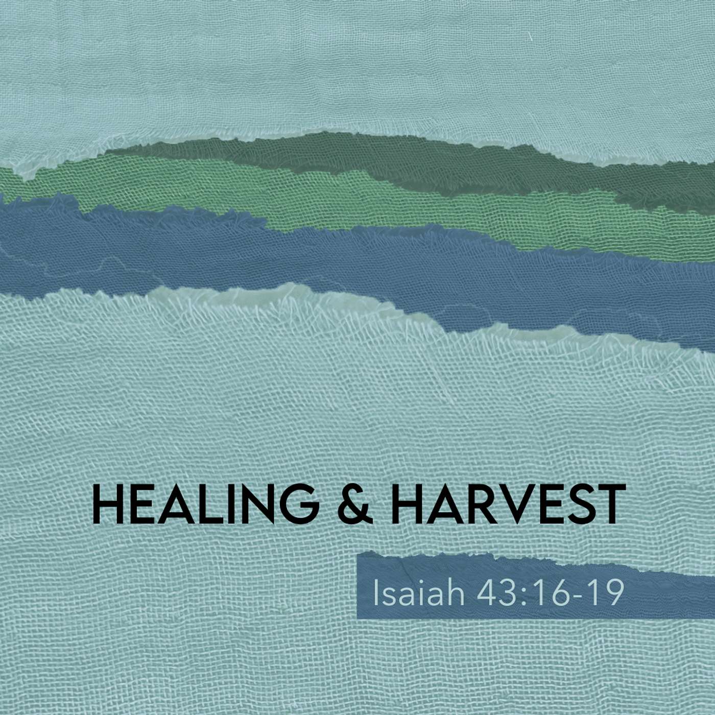Healing & Harvest Healing & Harvest