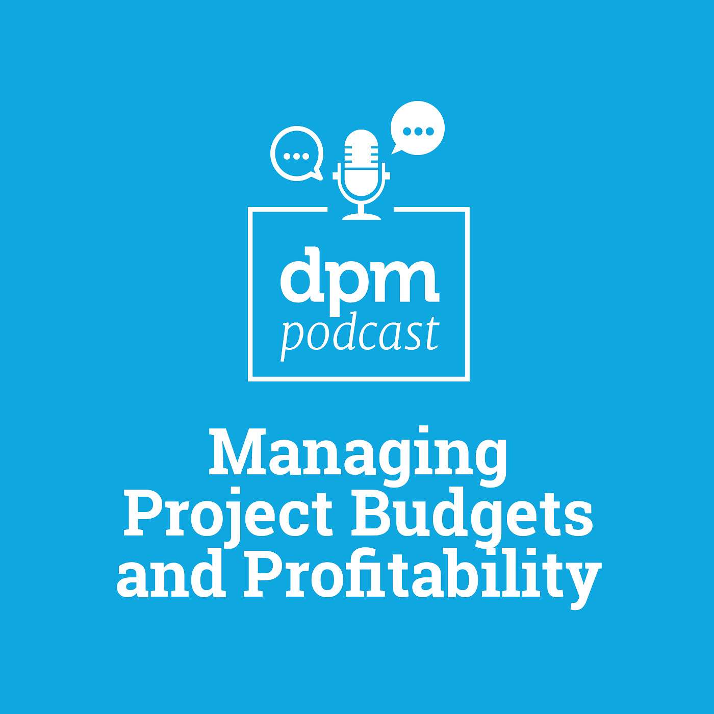 The Digital Project Manager