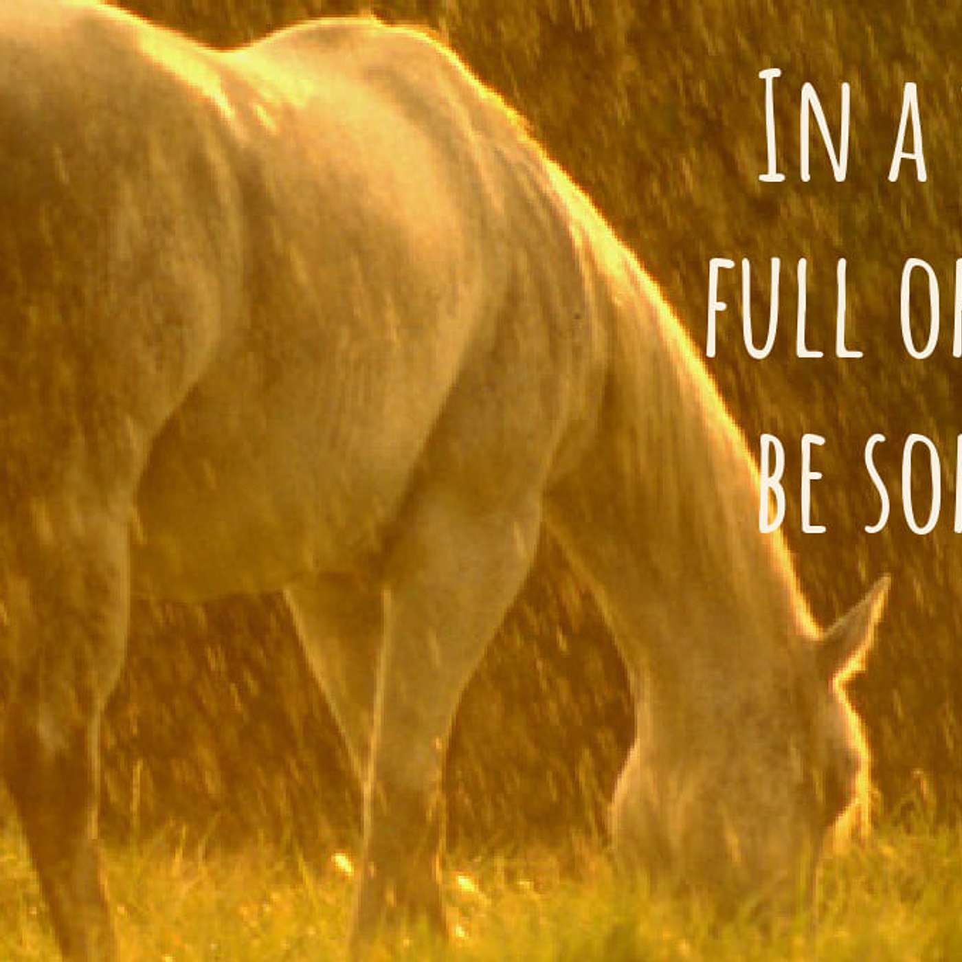 How Rain Soothes Us