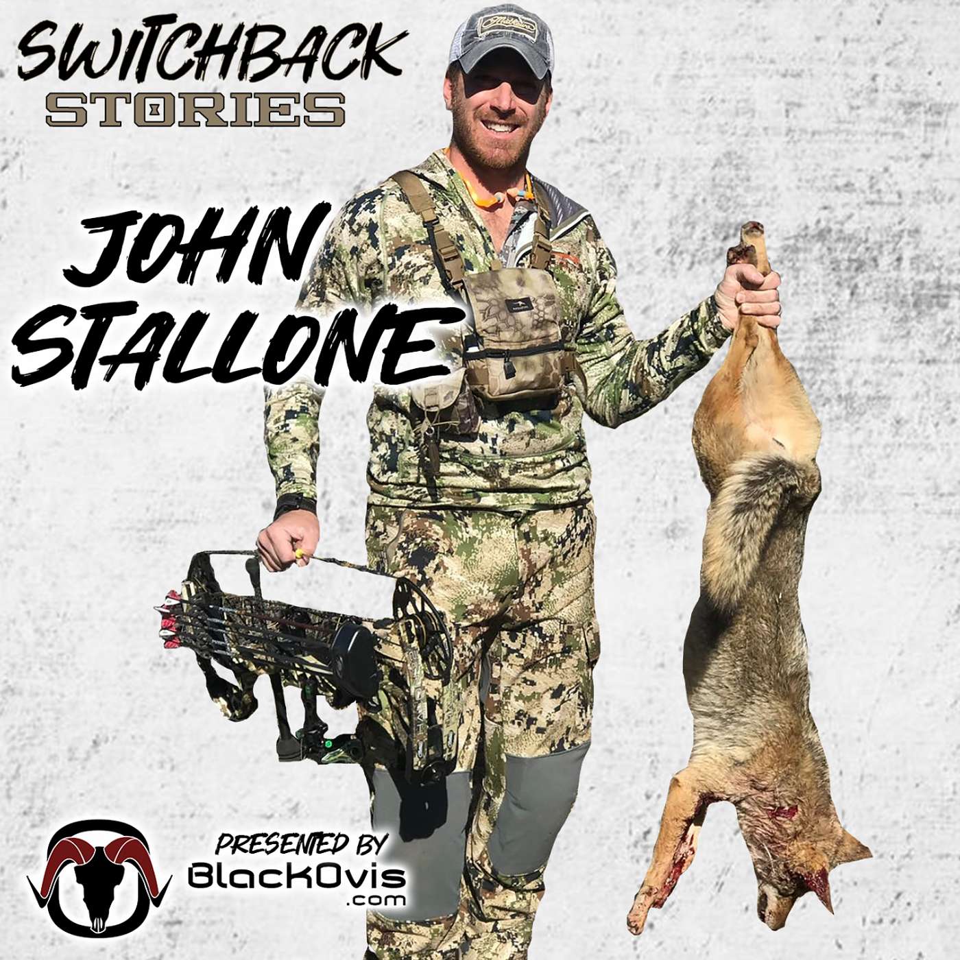 Switchback Stories