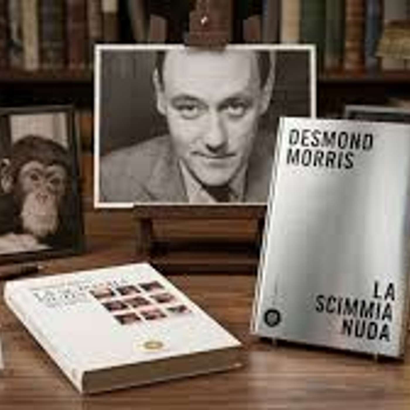 Lucia Orlandi ricorda  Desmond Morris  con il saggio del 1967 "La scimmia nuda" episode artwork