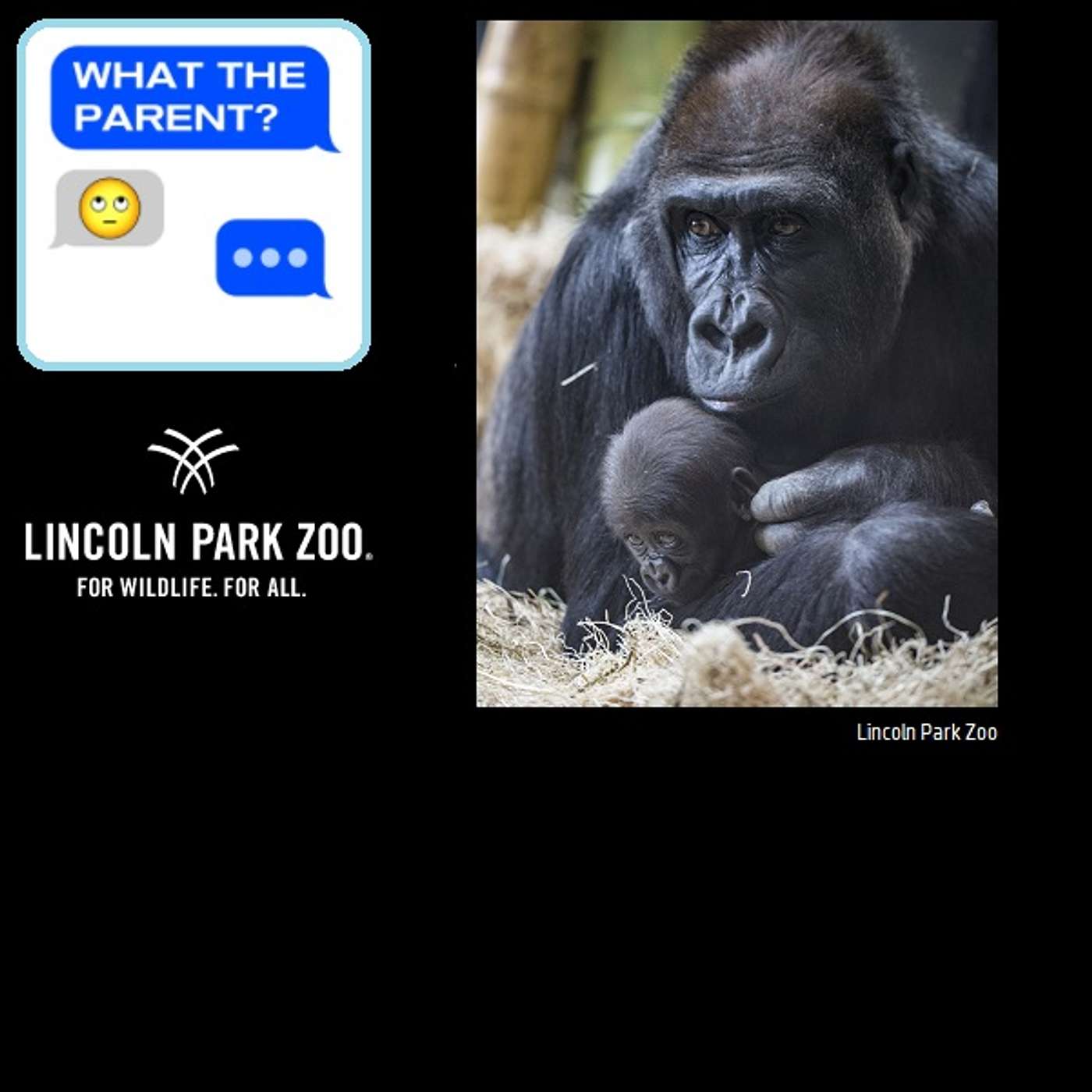 Living in a Zoo
