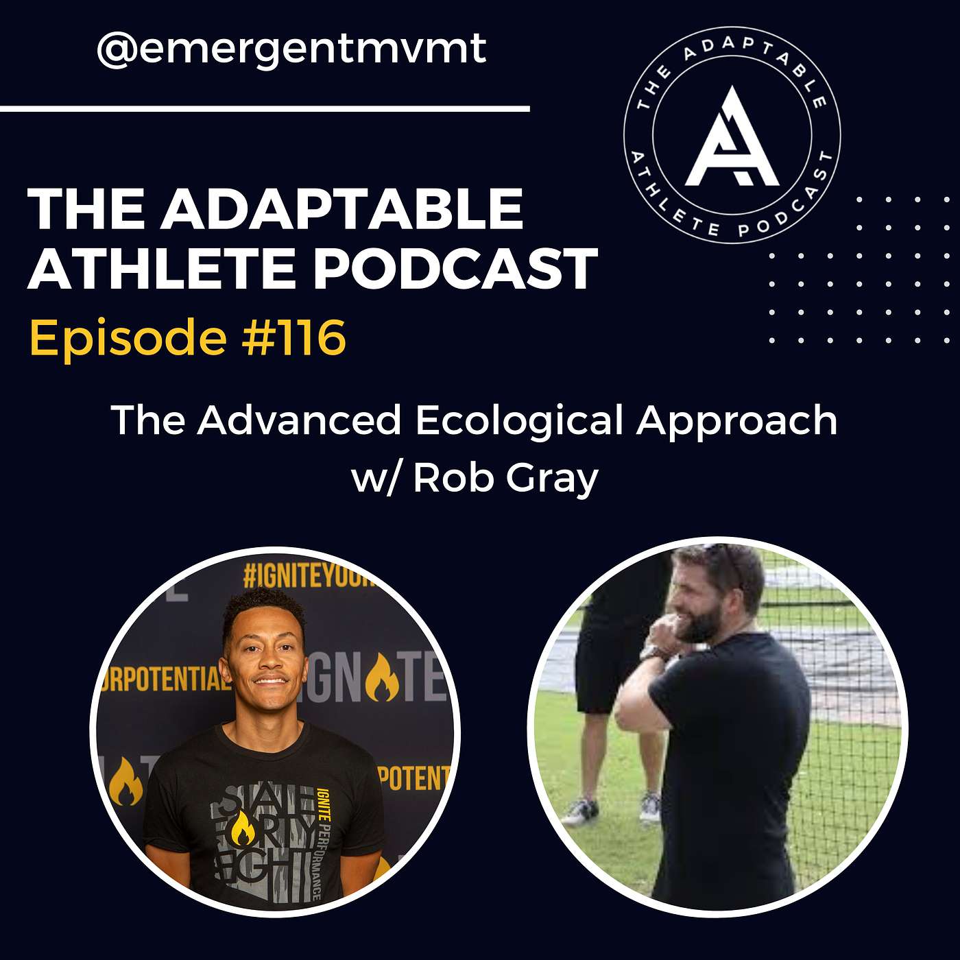 The Advanced Ecological Approach w/ Rob Gray