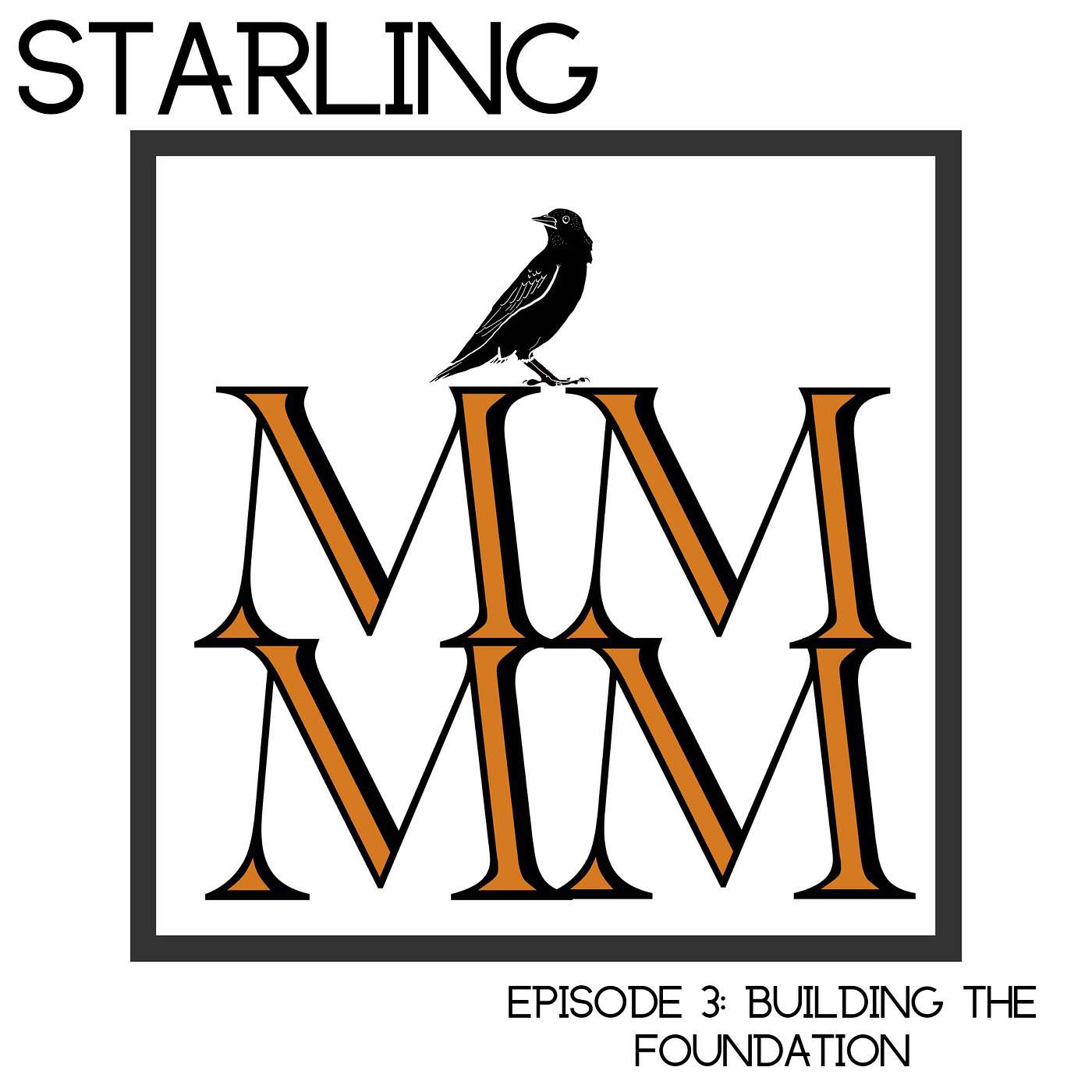 Building The Foundation