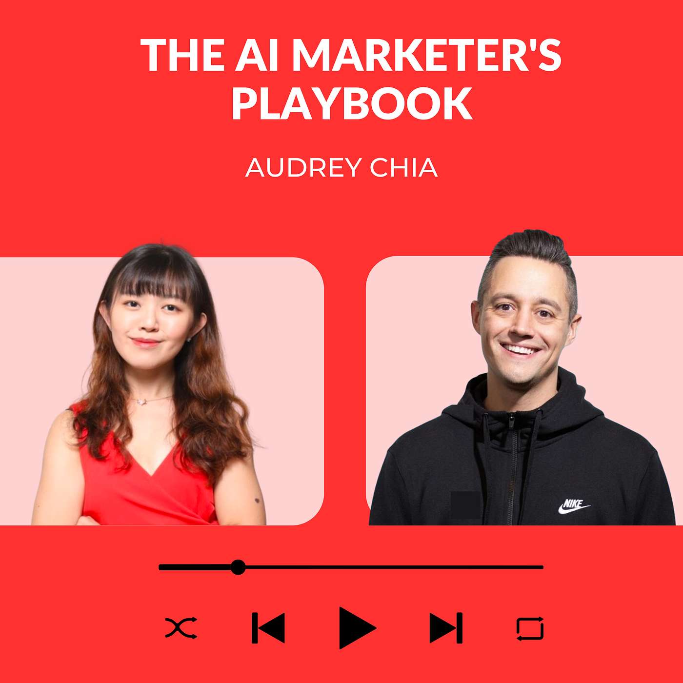 The AI Marketer\'s Playbook