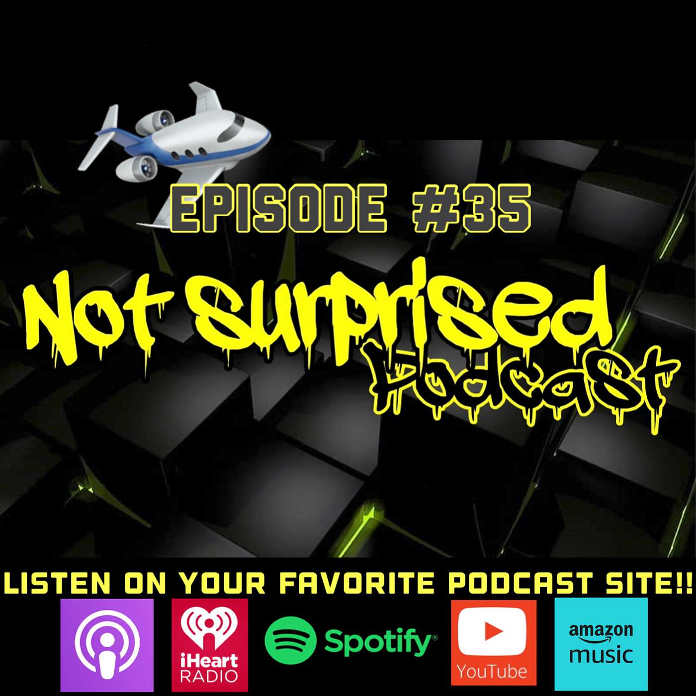 Not Surprised Podcast