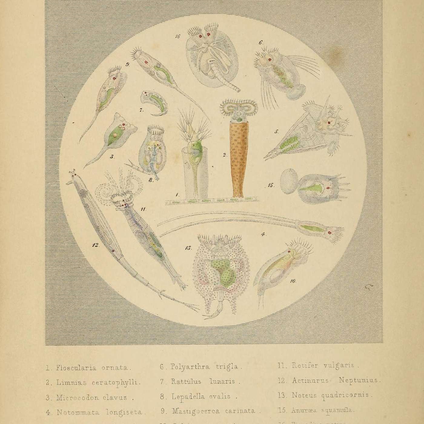 What Then Must We Do?