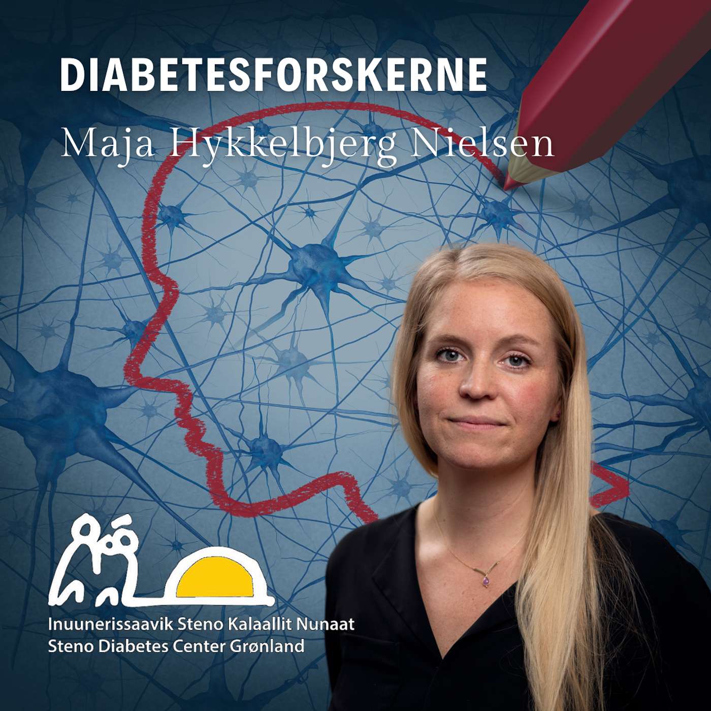 Visuel patientuddannelse skal hjælpe grønlændere med diabetes
