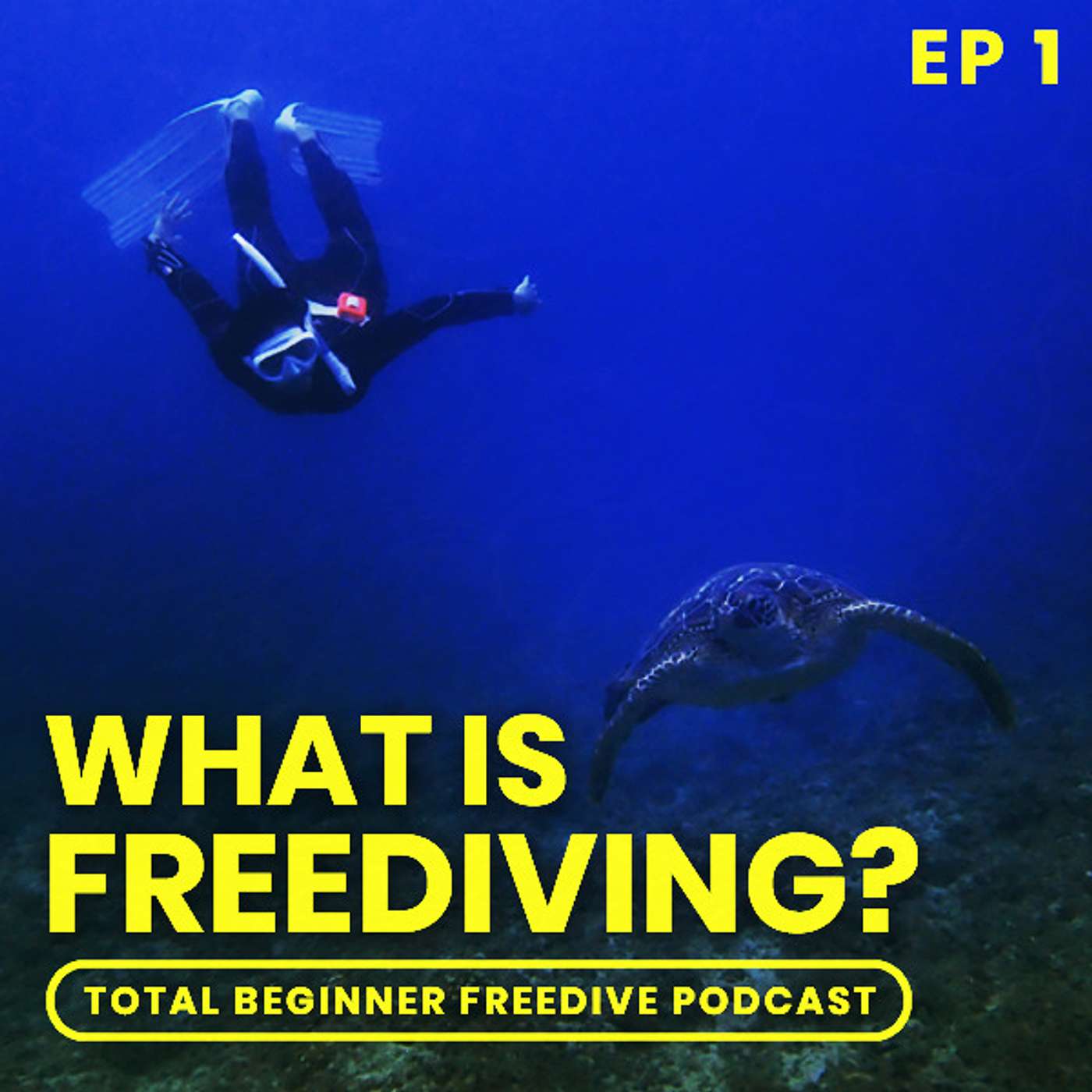 Episode #1 - What is Freediving?