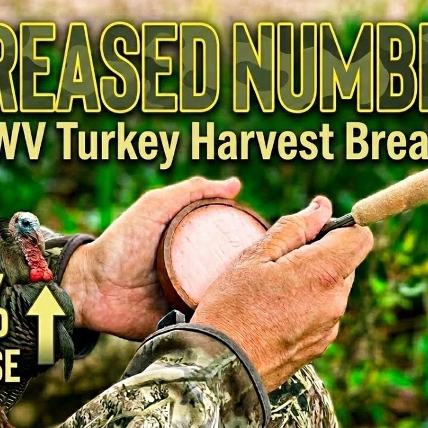 2026 WV Turkey Harvest Breakdown: 13,000+ Birds & The Science of the Season with Mike Peters episode artwork