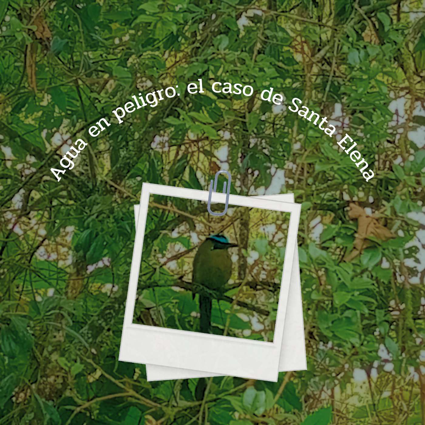 Agua en peligro: el caso de Santa Elena