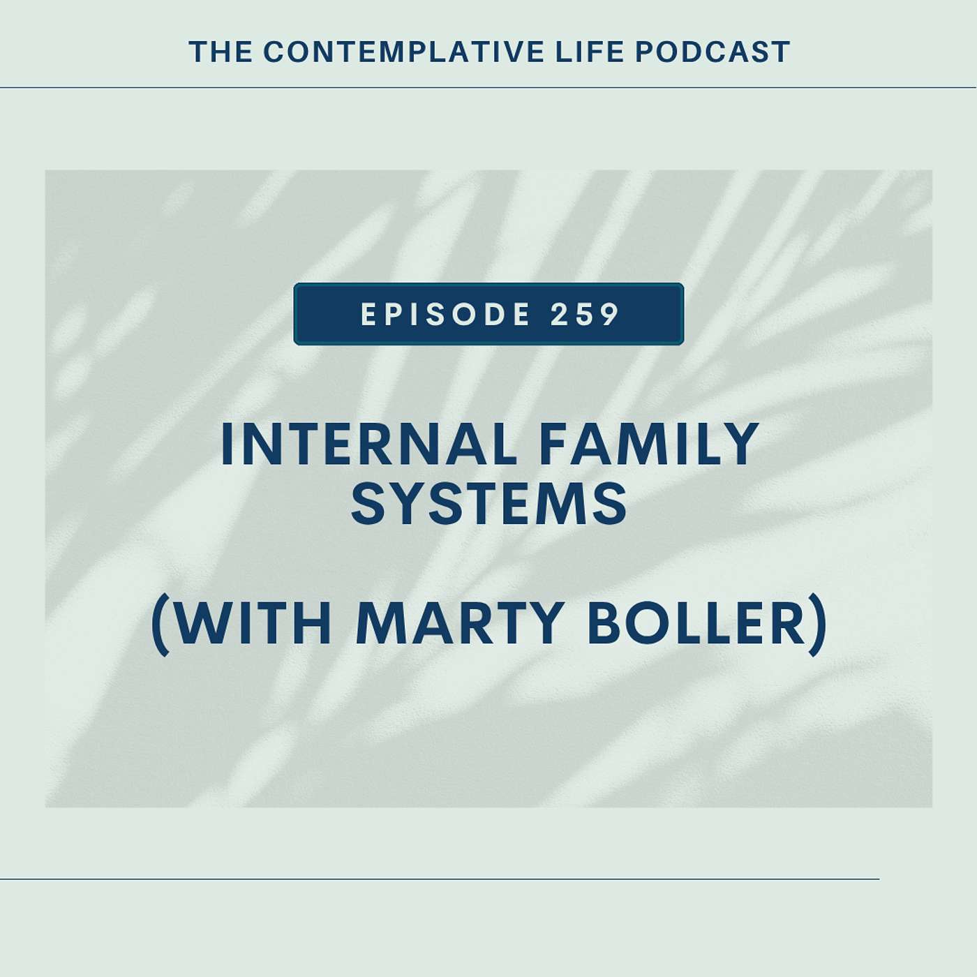 Ep 259: Internal Family Systems (with Marty Boller)