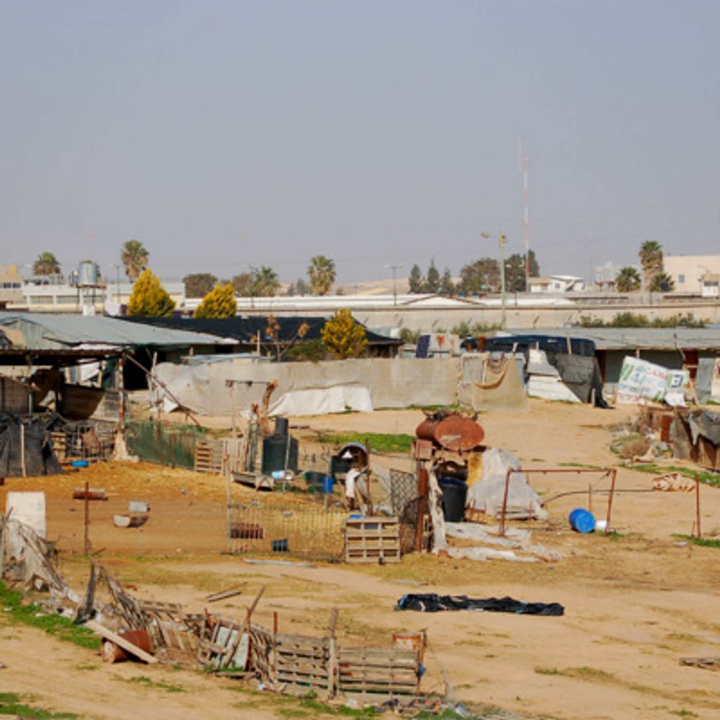 387 - הצלת הנגב