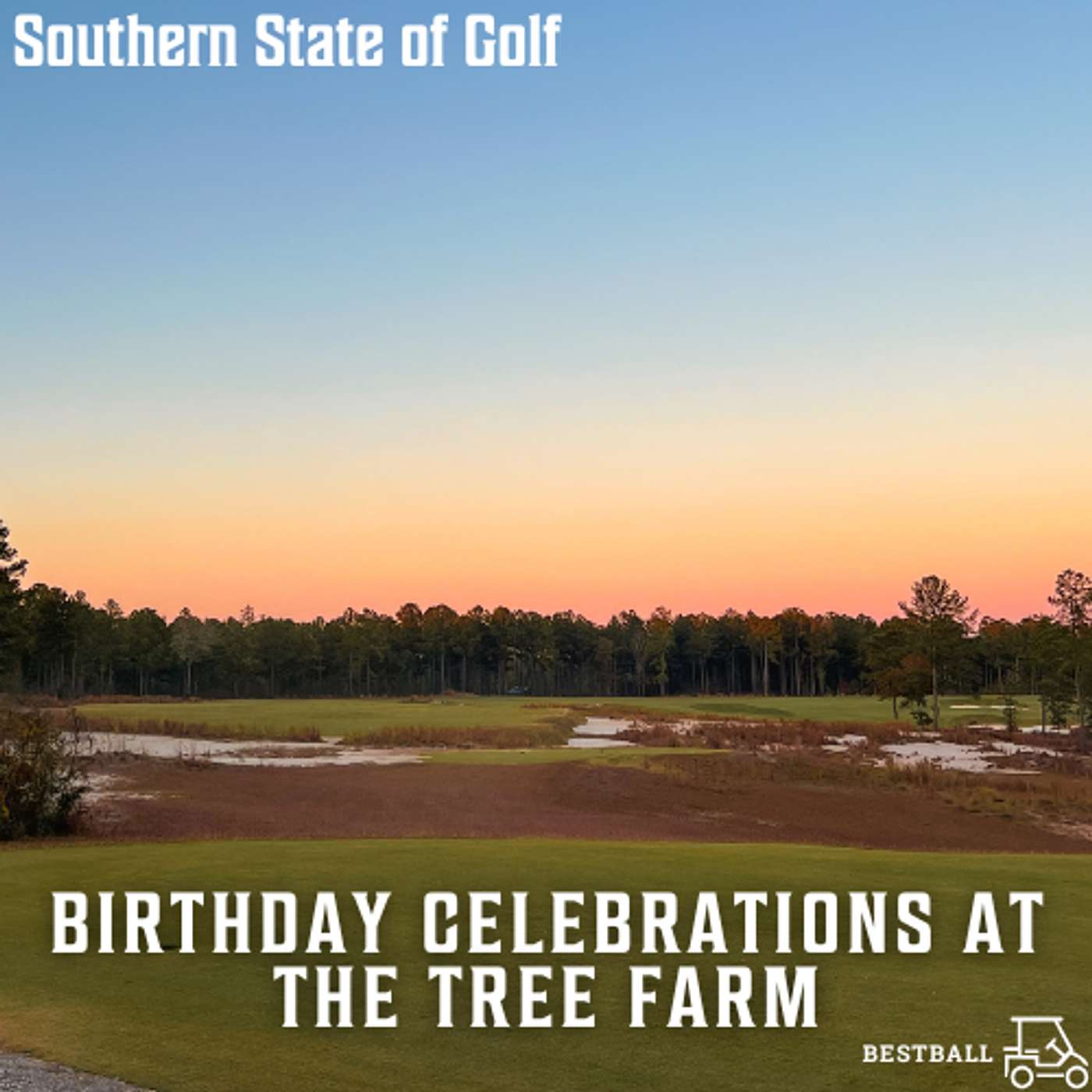 Birthday Celebrations at The Tree Farm