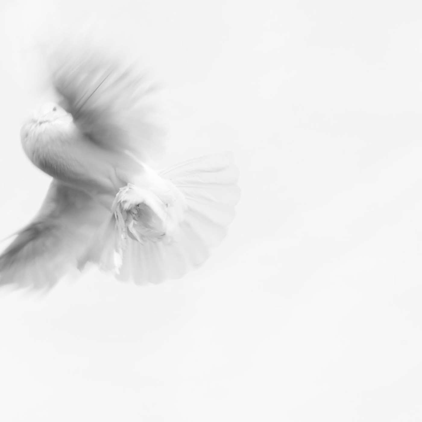 Conversations with the universe - Spirituality, consciousness, worldly wisdoms
