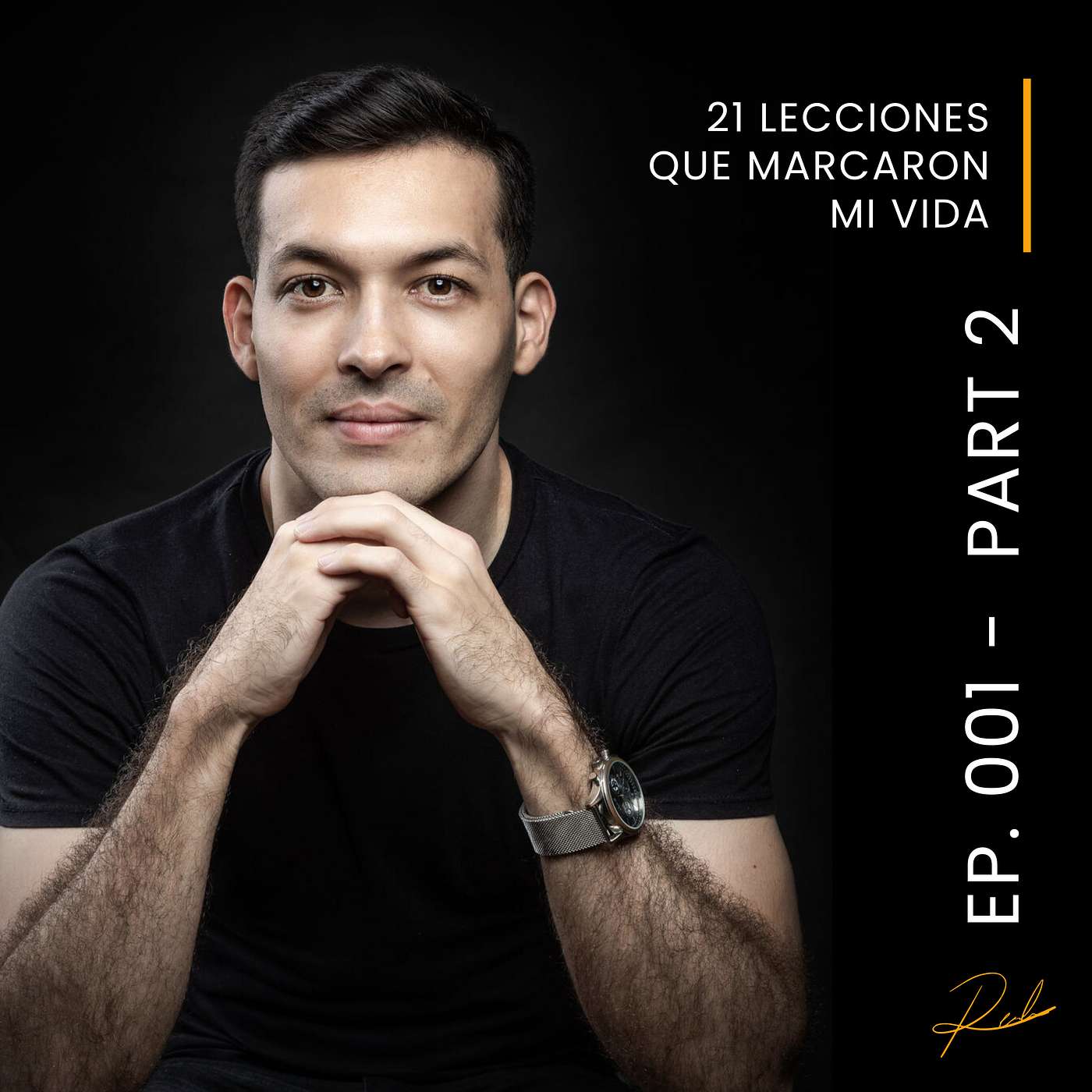 Ricardo Elizondo - Minimalismo Empresarial