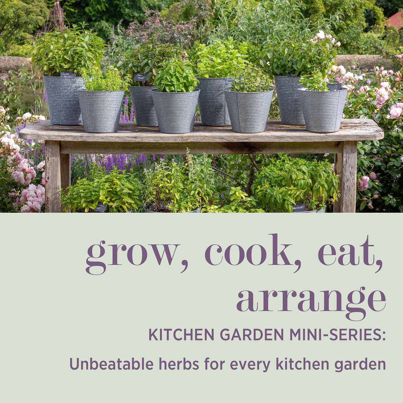 cover of episode KITCHEN GARDEN MINI-SERIES: Unbeatable Herbs for Every Kitchen Garden