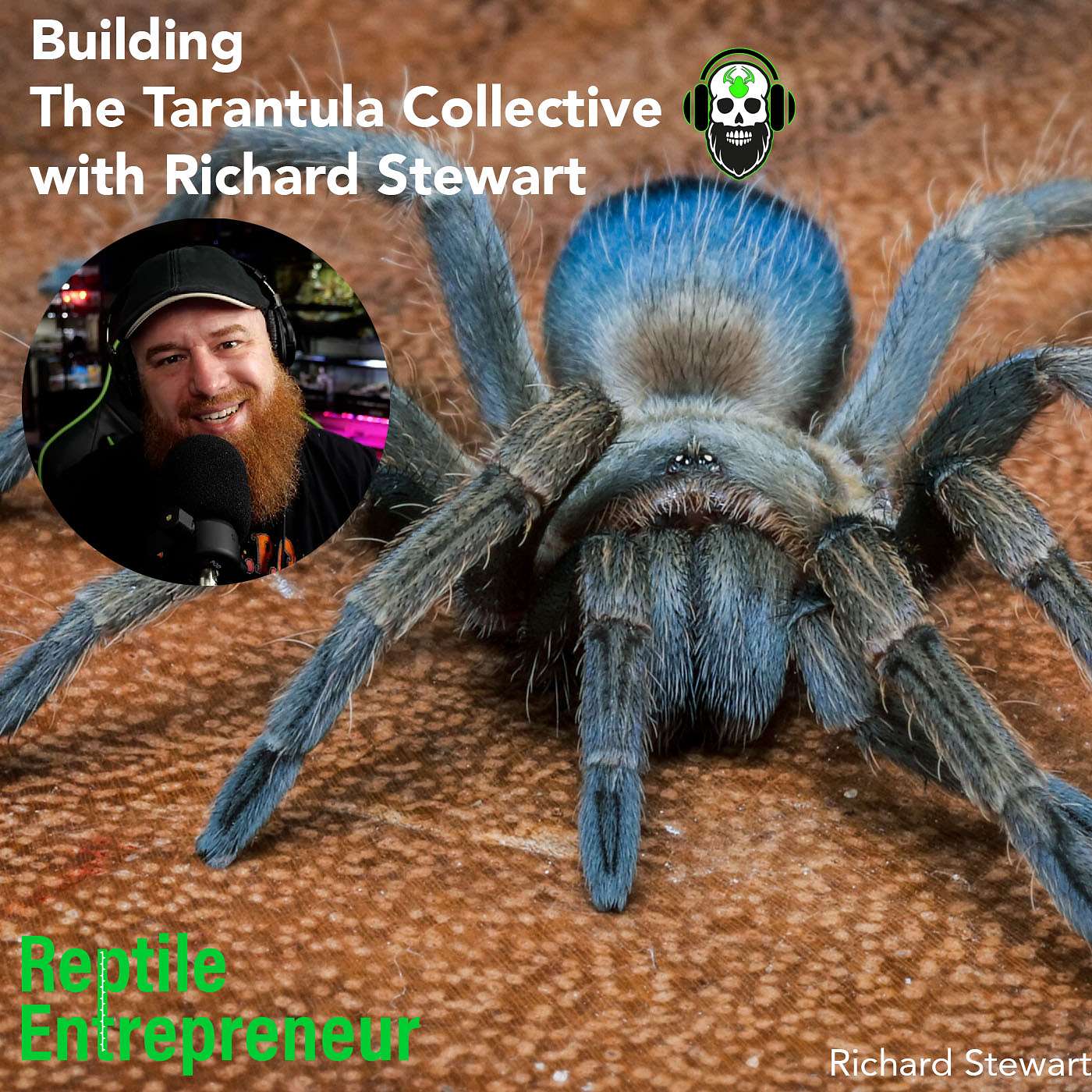 Reptile Entrepreneur Podcast