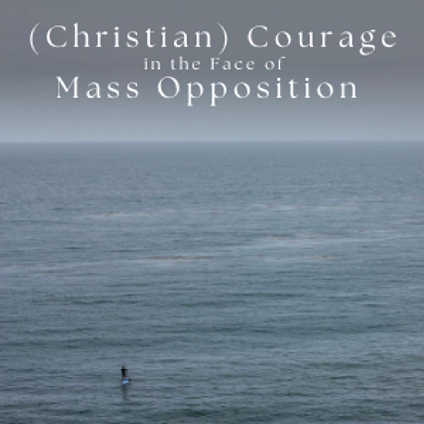 (Christian) Courage in the Face of Mass Opposition—Part 2 episode artwork