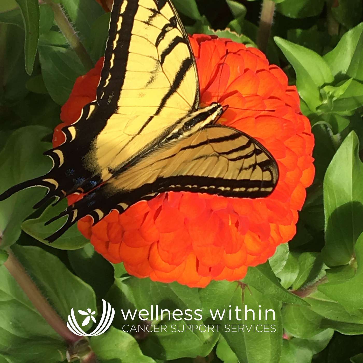Poem - Marilyn Lapkass Shares Ralph Waldo Emerson