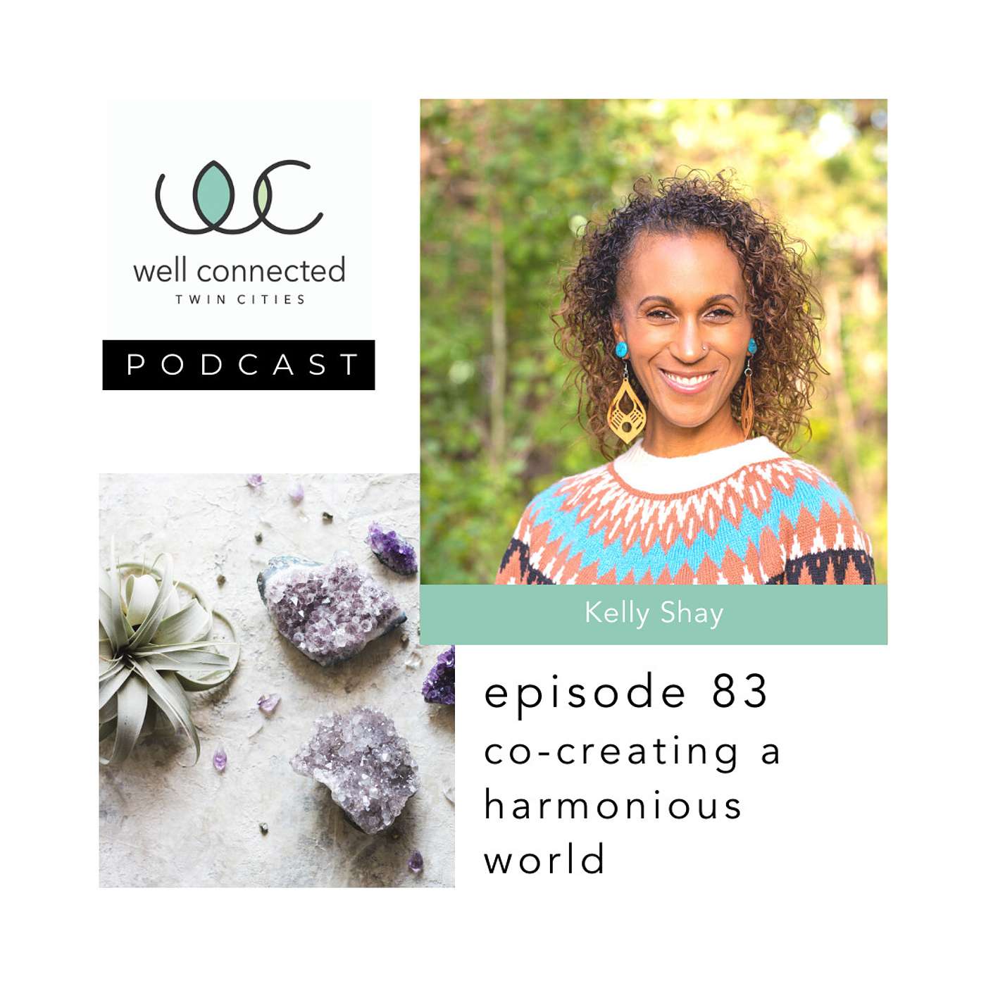 Well Connected Twin Cities Podcast