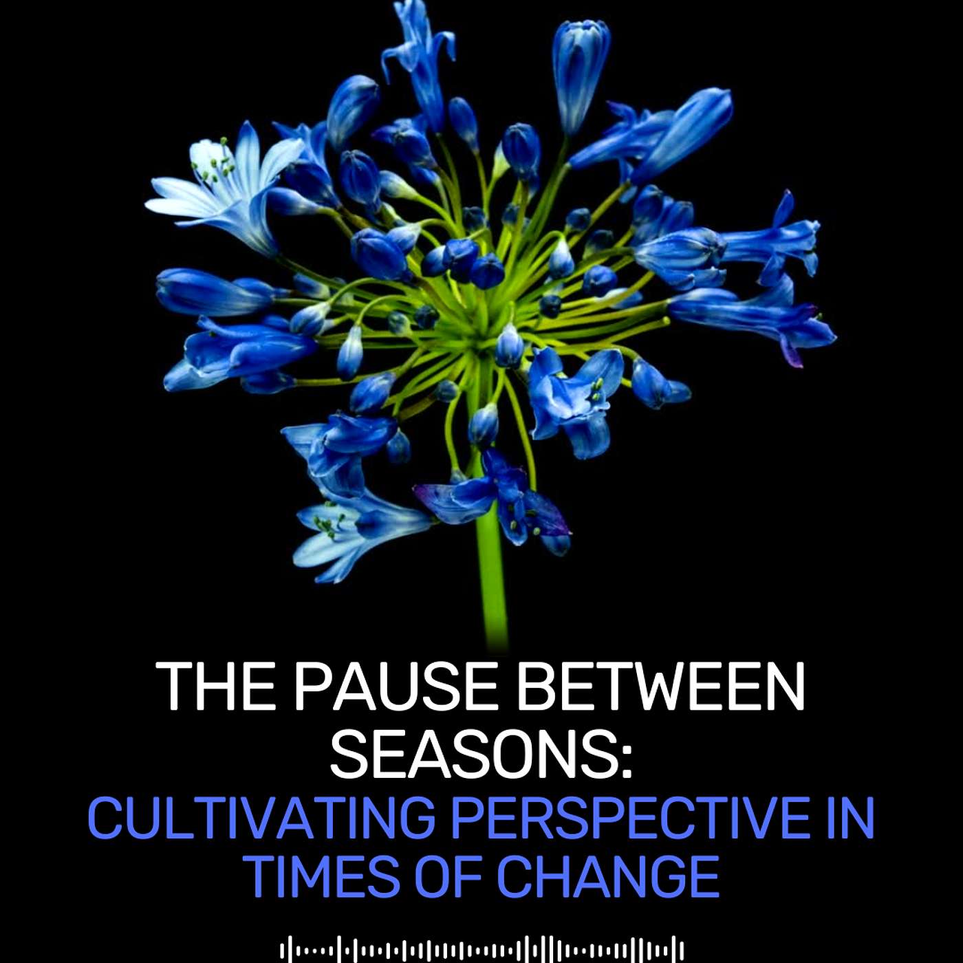 The Pause Between Seasons: Cultivating Perspective in Times of Change