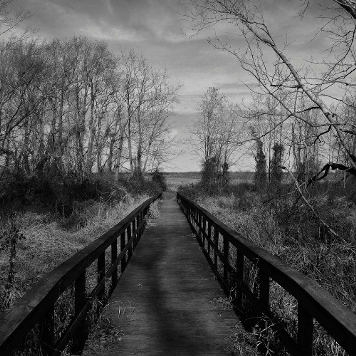 After Words Paranormal