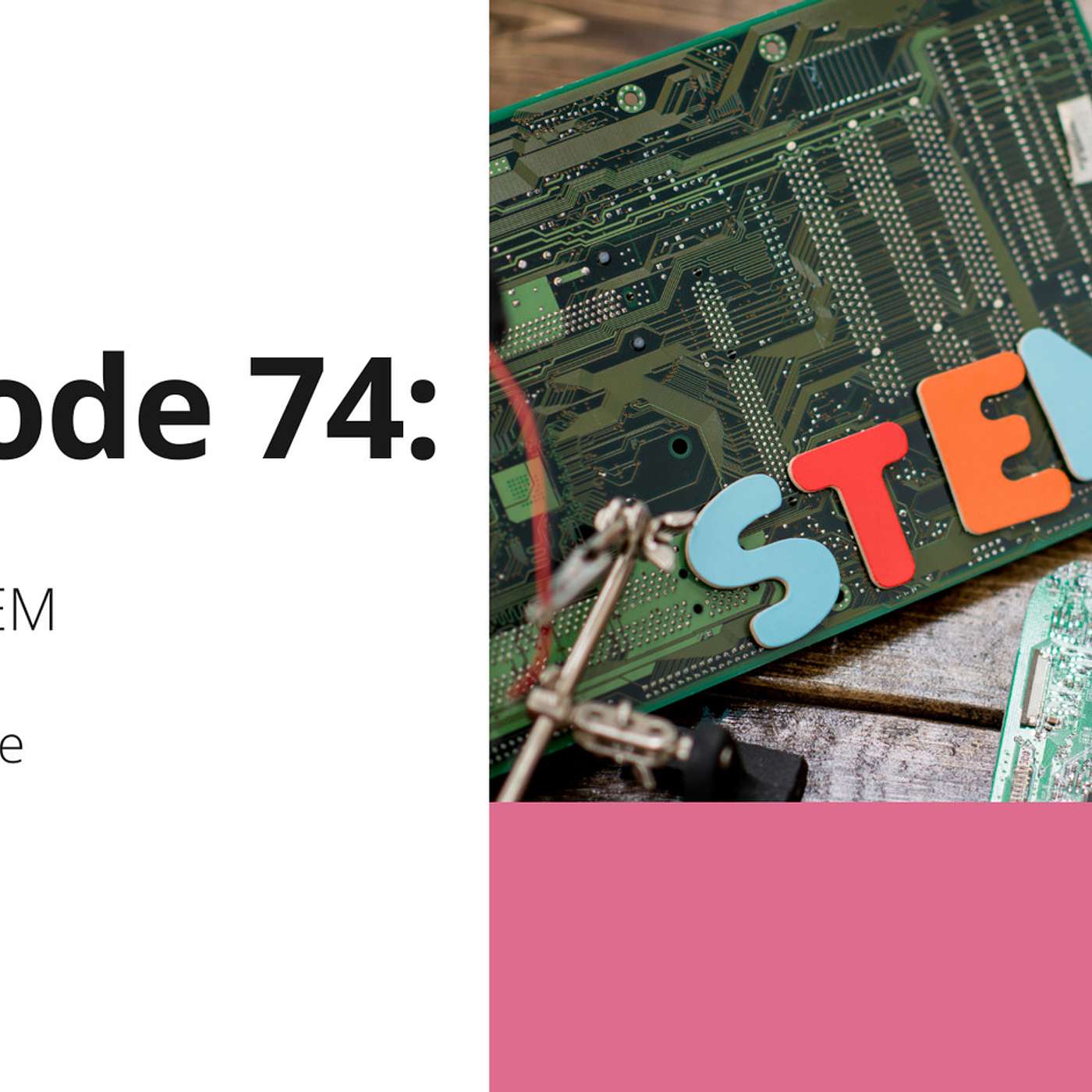 74: The T in STEM