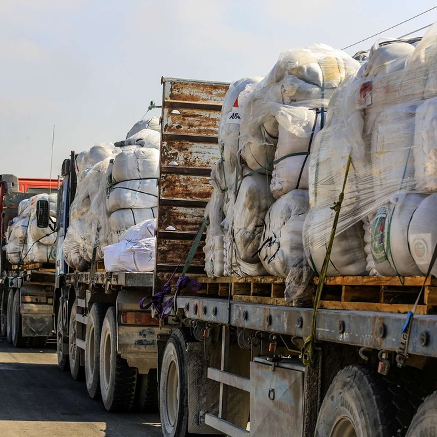 786 - מלכי הרעב