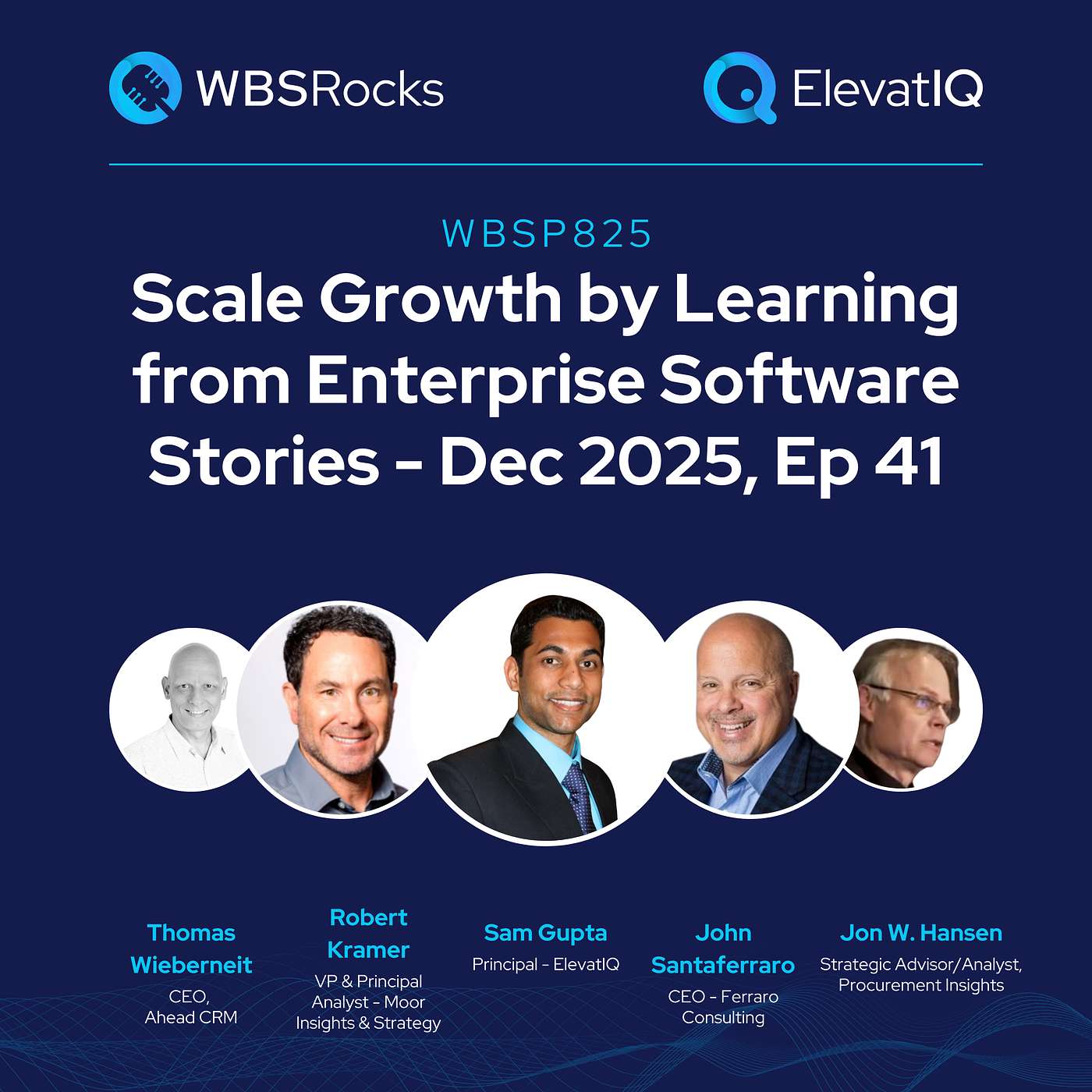 WBSP825: Scale Growth by Learning from Enterprise Software Stories - Dec 2025, Ep 41, an Objective Panel Discussion