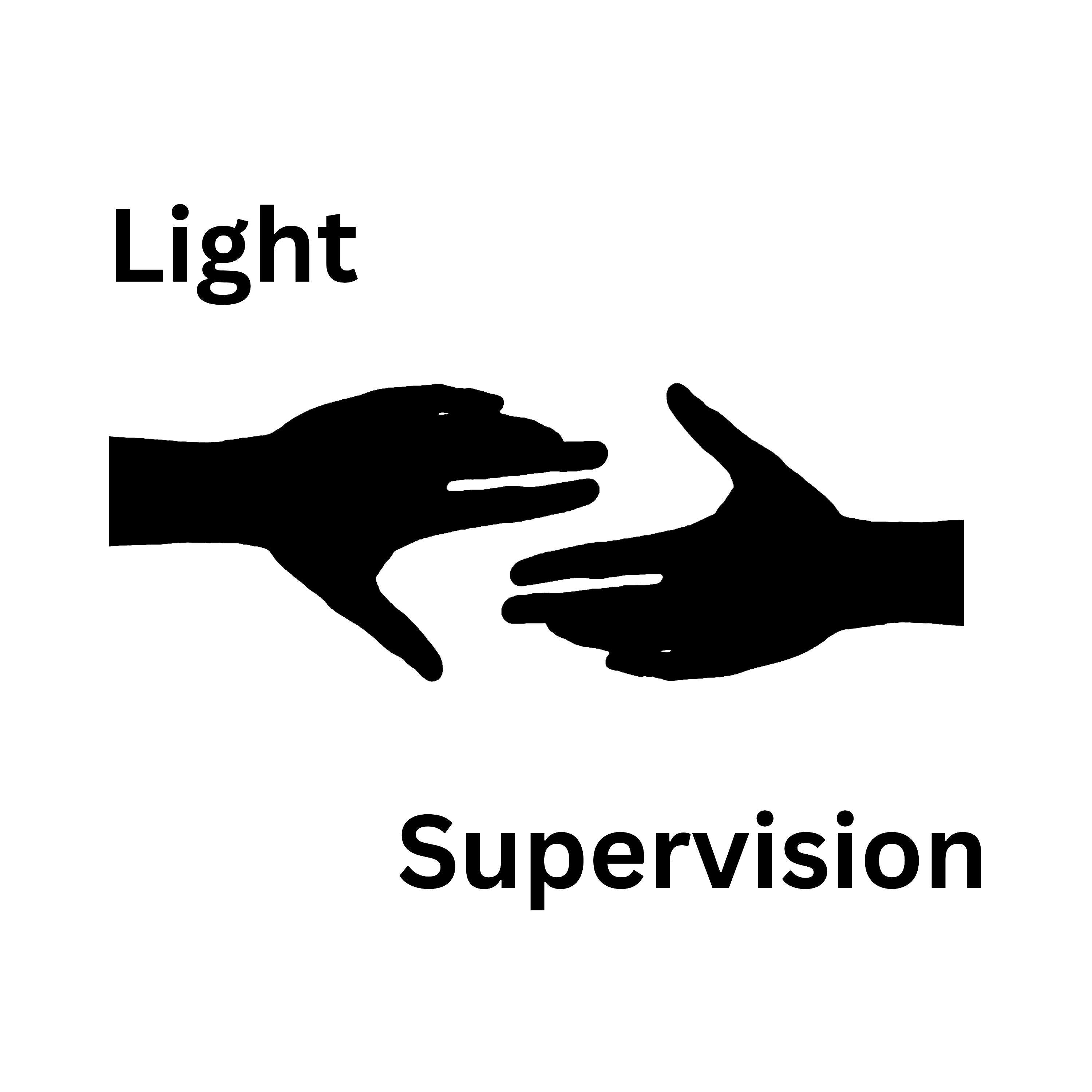Light Supervision- For The Alternative Mind