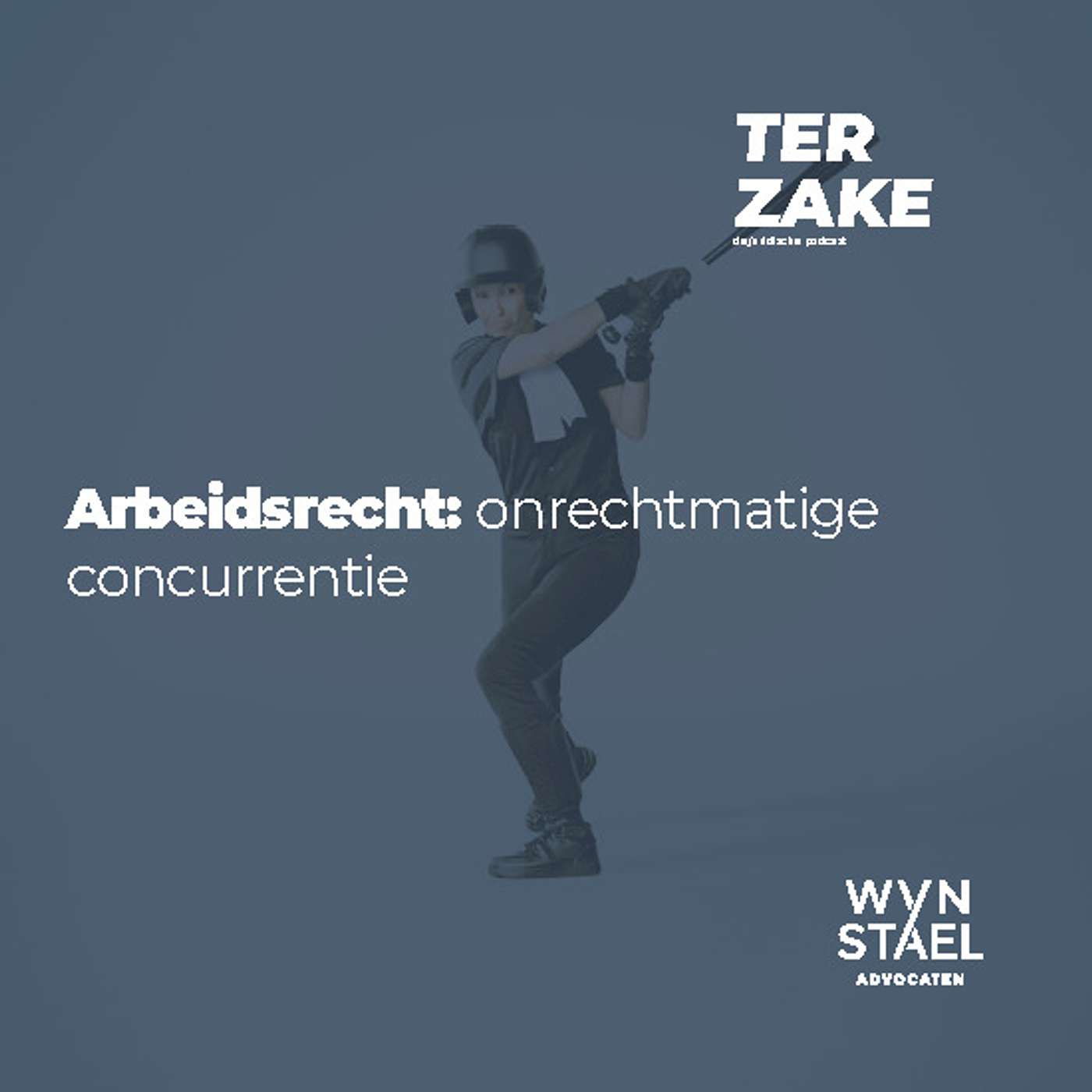 Ter zake