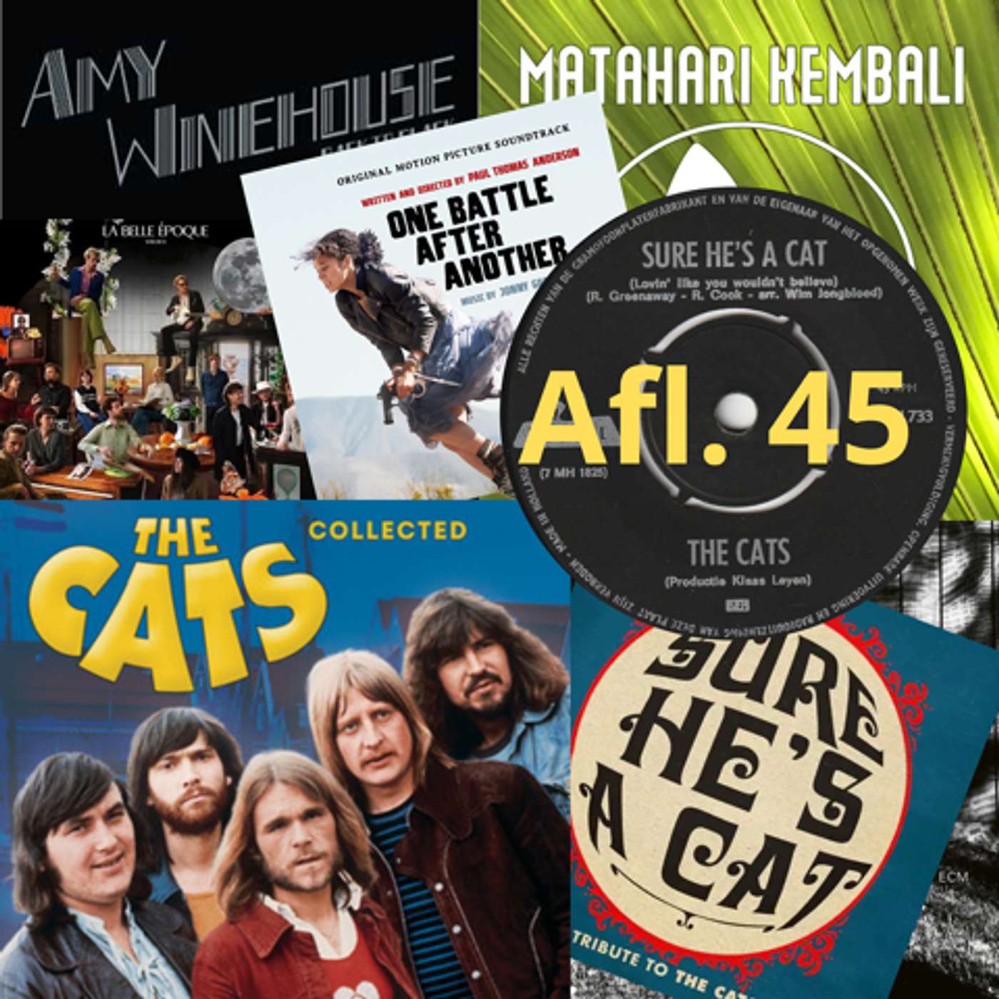 Sure He’s A Cat (The Cats) en uitstapjes van gitaristen episode artwork