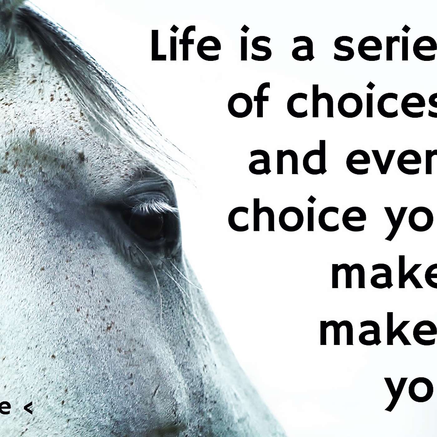 Freedom to Choose episode artwork