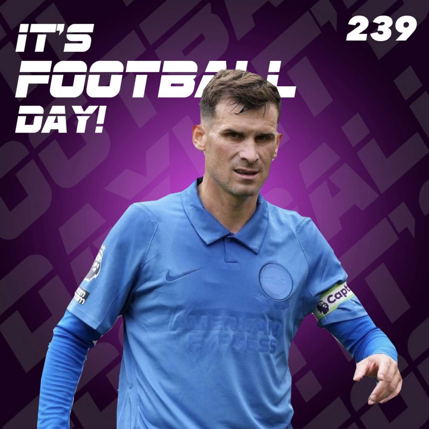 239. ITS FOOTBALL DAY - Pecked by the Seagulls episode artwork