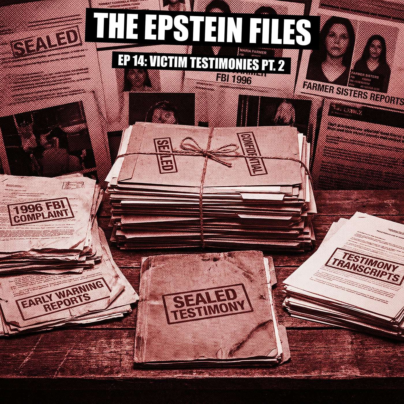 File 14 - Victim Testimonies: The Warnings From 1996 (Part 2)