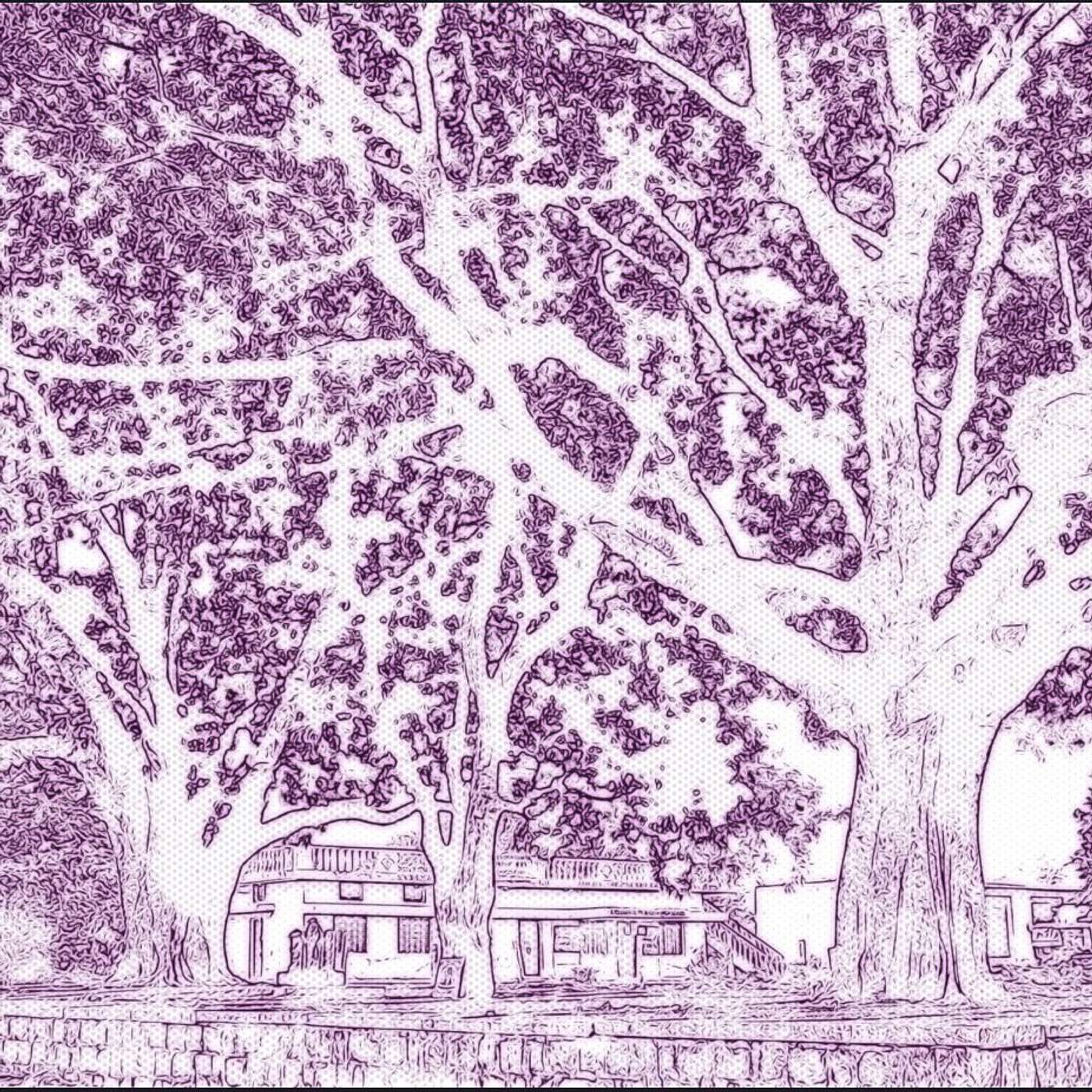 Beneath the Bodhi Tree