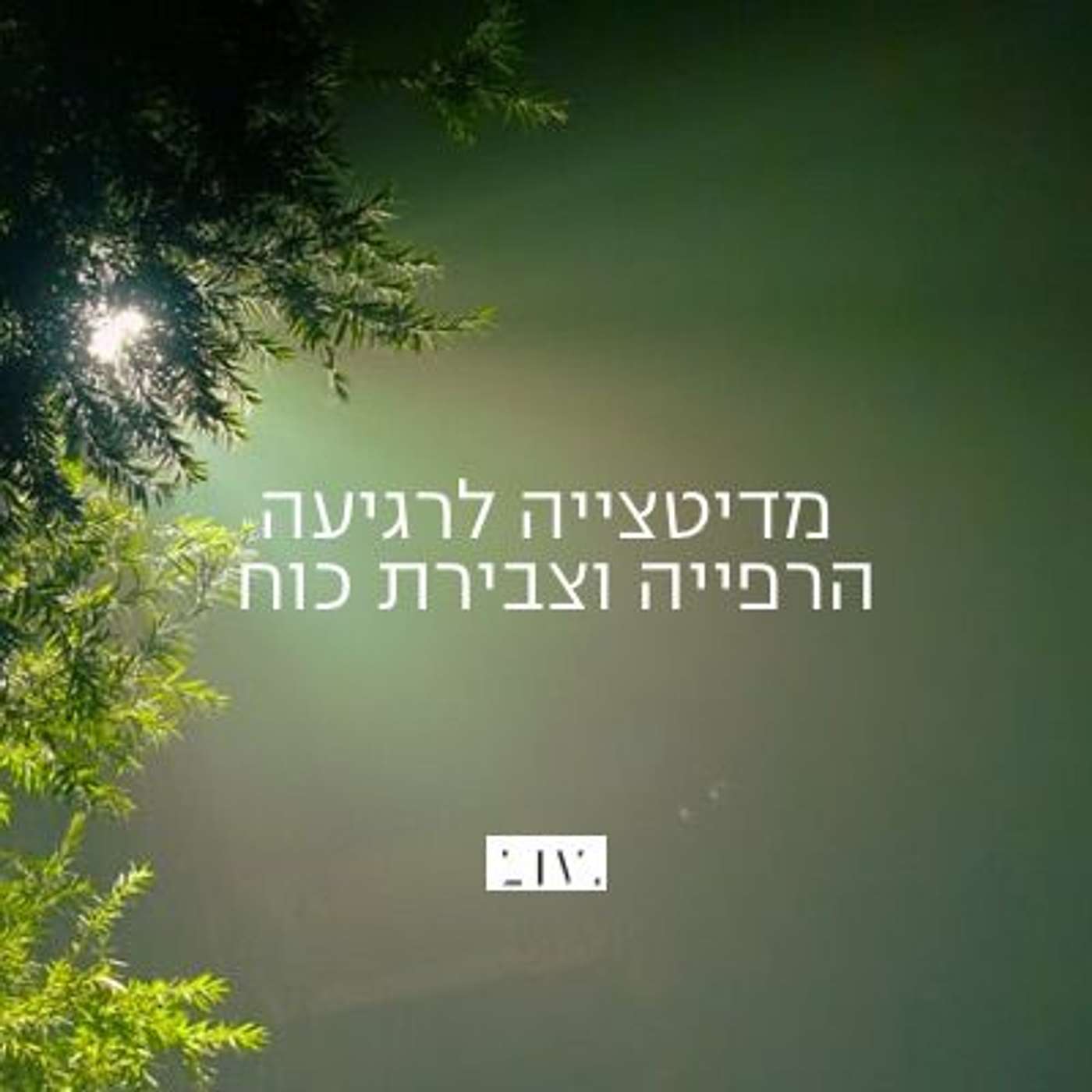 פרק 62: מדיטציה לרגיעה ווצבירת כוח לימים מורכבים episode artwork