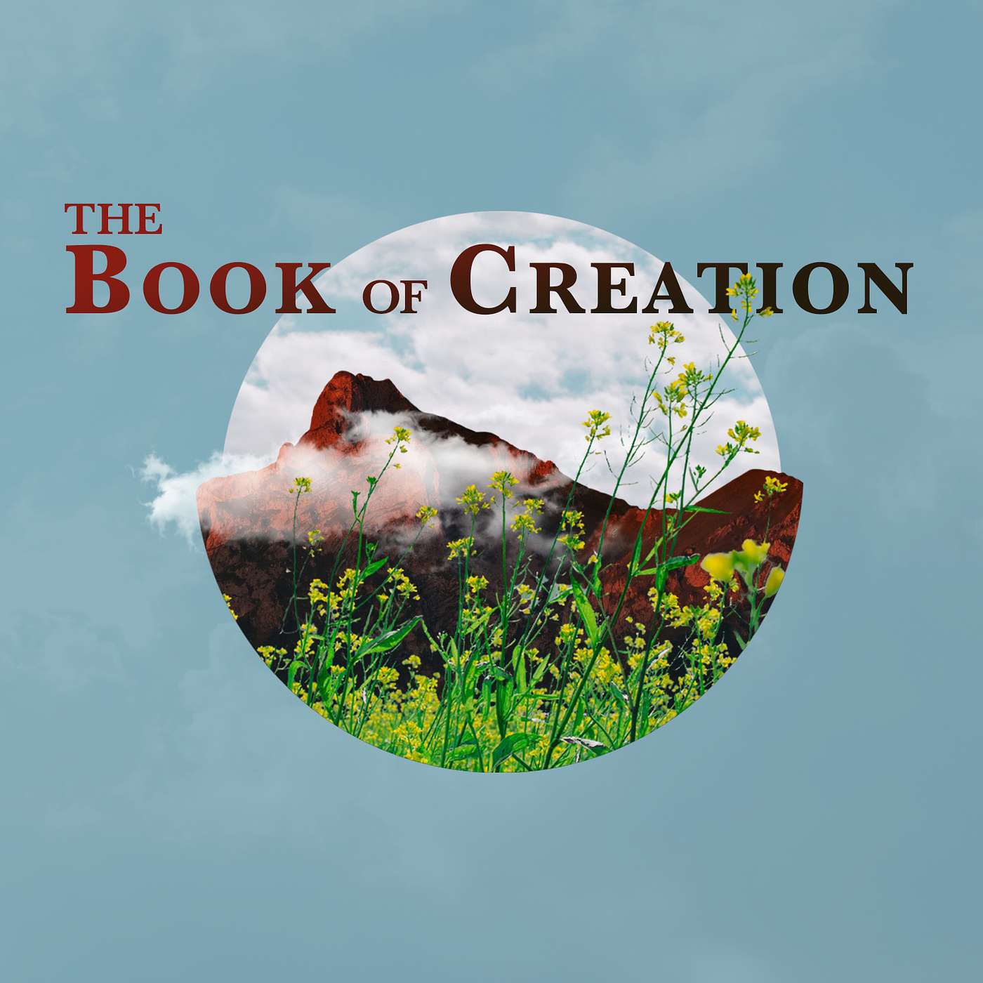 Birds, Flowers, and the Anxiety Epidemic. Matthew 6
