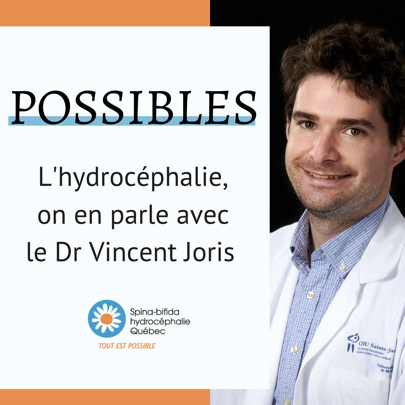 POSSIBLES