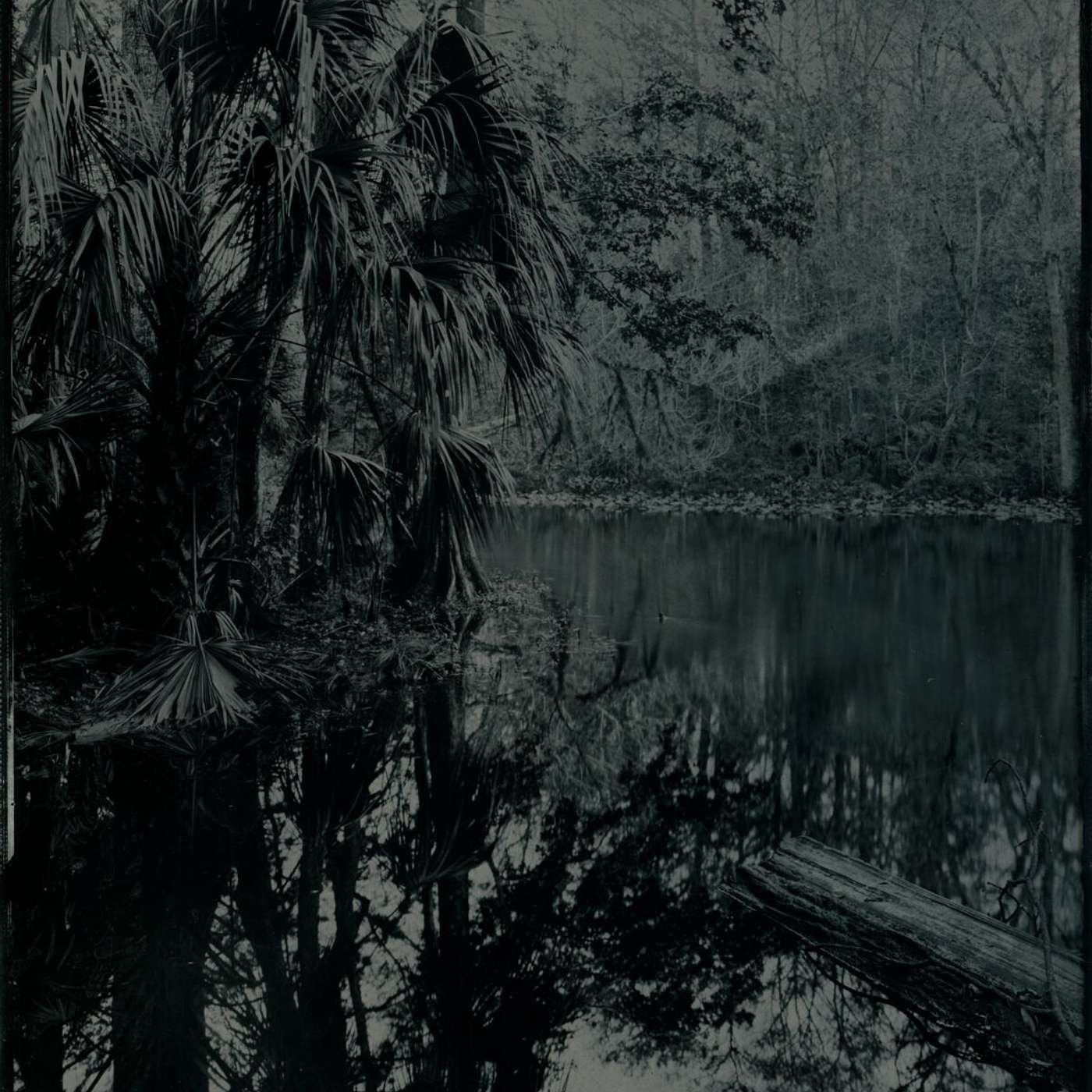 Episode 224: Echoes of the Wild, Matt Keene, and Florida Photography Not Often Seen