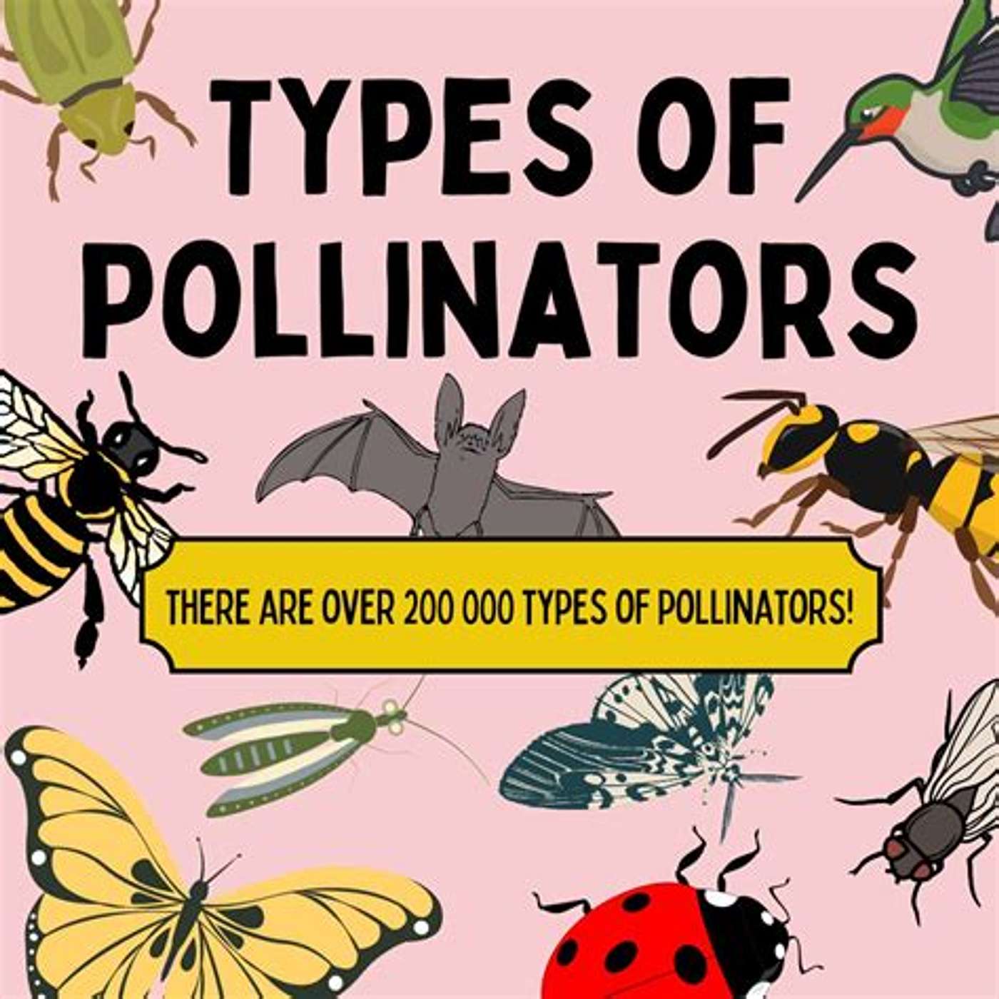 Pollinators. Great for the environment... episode artwork