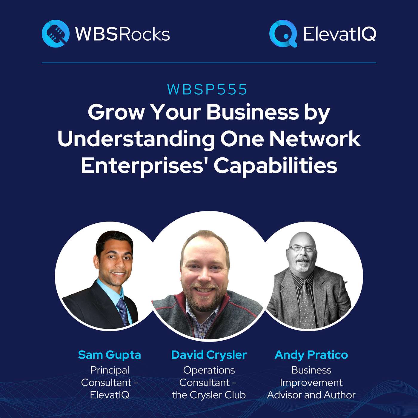 WBSP555: Grow Your Business by Understanding One Network Enterprises' Capabilities, an Objective Panel Discussion