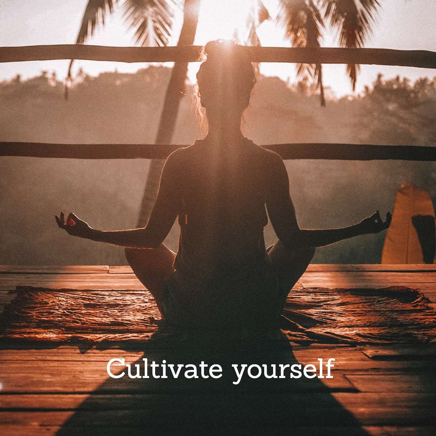 #213 Cultivate yourself episode artwork