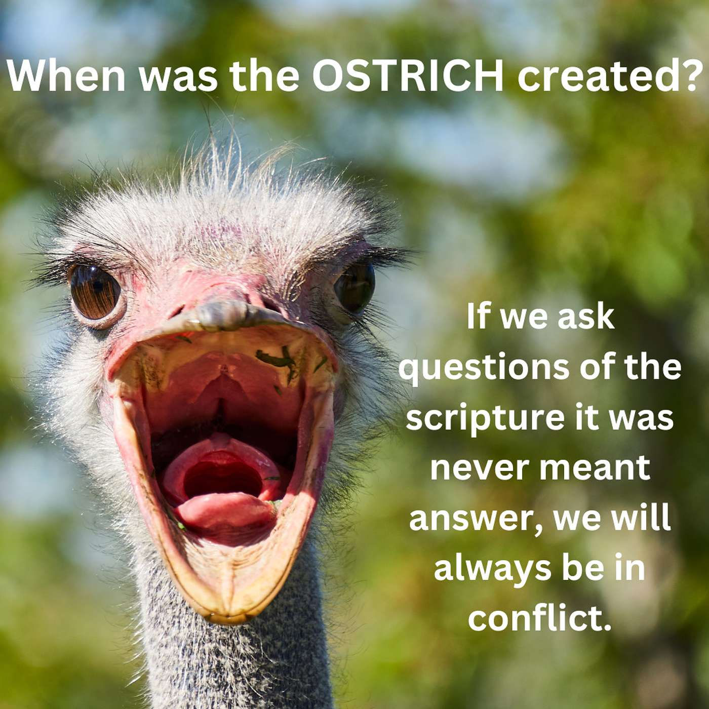 Tea, Toast, and Theology - All things Nourishing