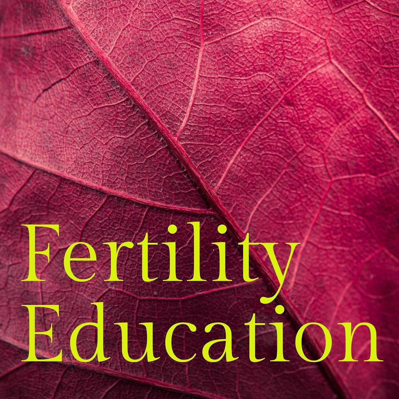 How Birth Control Can Affect Your Fertility | Pills Are Not The Only Option — Fertility Education cover